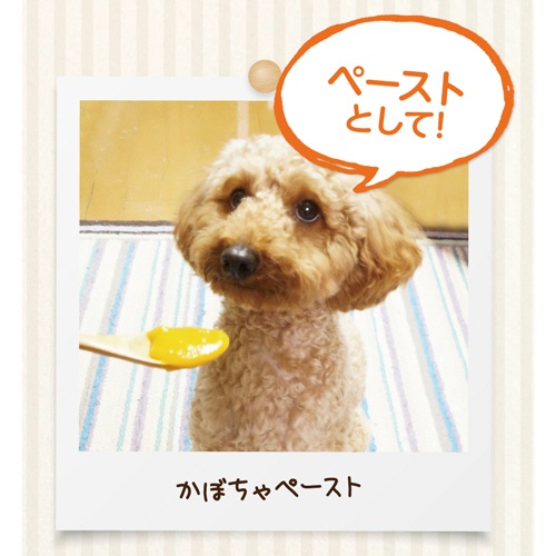 ペットプロジャパン　ＨａｐｐｙＤａｙｓ　大地からの贈り物　素材１００％野菜フレーク　とうもろこし　３５ｇ　１パック6