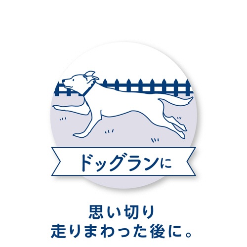 ペットプロジャパン　ＨａｐｐｙＤａｙｓ　お出かけ用除菌ウェットタオル　厚型大判　個包装　１パック（５本）4