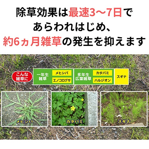 ＫＩＮＣＨＯ園芸　除草剤　草退治Ｅ粒剤　８ｋｇ　１パック2