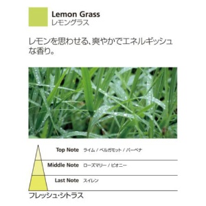 Ｍｉｌｌｅｆｉｏｒｉ　センテッドスティック　Ｍ　レモングラス　ＤＩＦ－Ｍ－０３９　１セット3