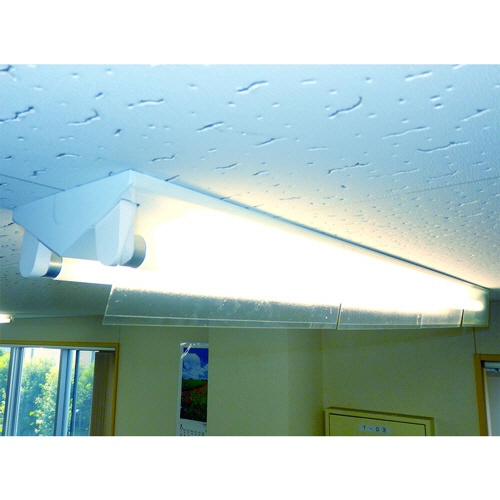 大協技研工業　ＩＶＹ　透明捕虫テープ　＜影丸くん＞　１００×３００ｍｍ　透明　ＩＶＹ９８５０　１パック（１０枚）5