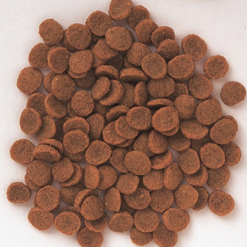 森乳サンワールド　ＳｕｐｅｒＧｏｌｄ　フィッシュ＆ポテト　子犬・成犬用　７．５ｋｇ　１パック3