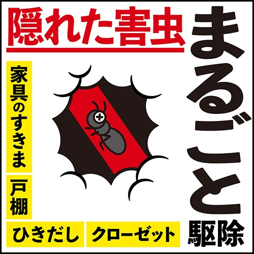アース製薬　アースレッド　イヤな虫用　６－８畳用　１パック（３個）6