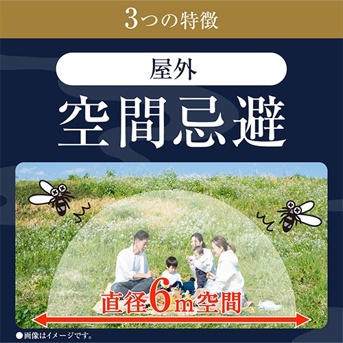 アース製薬　アース渦巻香　プロプレミアム　１箱（１０巻）4