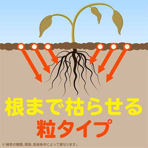 アース製薬　アースガーデン　おうちの草コロリ　粒タイプ　９００ｇ　１パック3