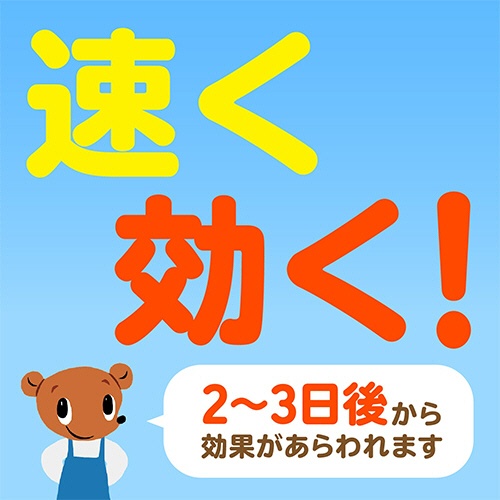アース製薬　アースガーデン　おうちの草コロリ　粒タイプ　９００ｇ　１パック4