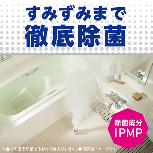 アース製薬　らくハピ　お風呂カビーヌ　くん煙タイプ　無香性　１個5