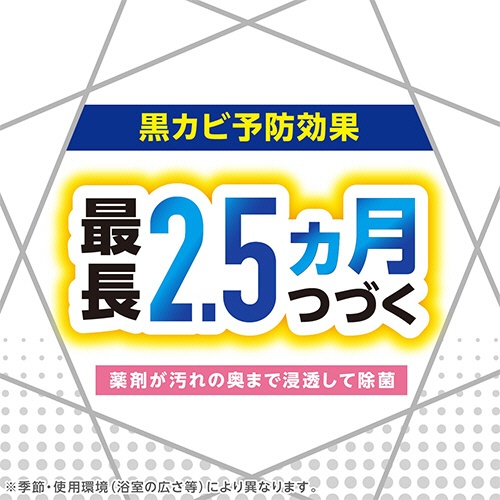 アース製薬　らくハピ　お風呂カビーヌ　くん煙タイプ　無香性　１個6