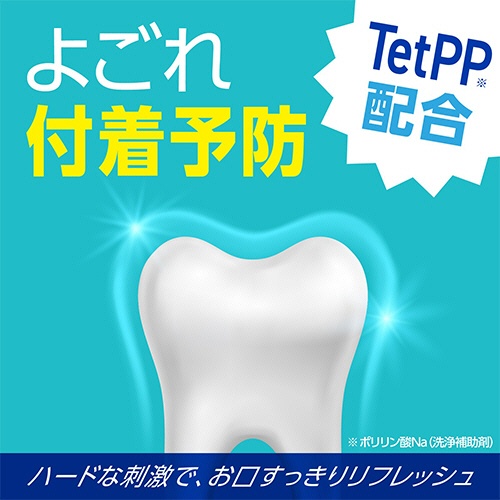 アース製薬　モンダミン　ストロングミント　ミニボトル　１００ｍｌ　１本6