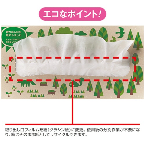 王子ネピア　ネピア　ネピｅｃｏ　ティシュ　２００組／箱　１パック（５箱）2