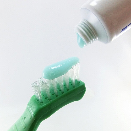小林製薬　タフデント　入れ歯の歯みがき　９５ｇ　１個3