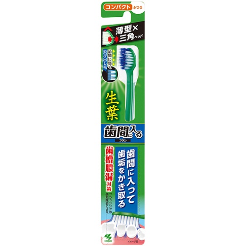 小林製薬　生葉　歯間に入るブラシ　コンパクト　ふつう　１本1