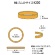 共和　オーバンド　＃２００　内径４４．５ｍｍ　５００ｇ入　透明袋　ＧＨＡ－Ｎ－００８　１袋2
