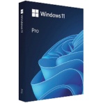 マイクロソフト　Ｗｉｎｄｏｗｓ　１１　Ｐｒｏ　６４ｂｉｔ　ＵＳＢフラッシュドライブ　１本