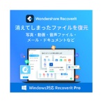 ワンダーシェアーソフトウェア　Ｒｅｃｏｖｅｒｉｔ　Ｐｒｏ　永続ライセンス　Ｗｉｎｄｏｗｓ対応　ダウンロード版　１本