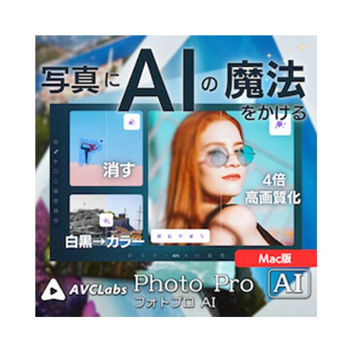 メディアナビ　ＡＶＣＬａｂｓ　ＰｈｏｔｏＰｒｏ　ＡＩ　Ｍａｃ版　ダウンロード版　１本1