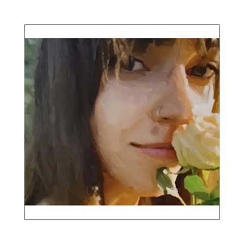 ネクステッジテクノロジー　ＡＫＶＩＳ　ＯｉｌＰａｉｎｔ　Ｖｉｄｅｏ　ｆｏｒ　Ｍａｃ　Ｈｏｍｅ　プラグイン版　ダウンロード版　１本1