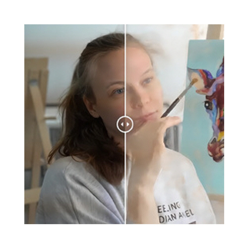 百貨店福袋 たのめーる】ネクステッジテクノロジー AKVIS Watercolor Video PCソフト