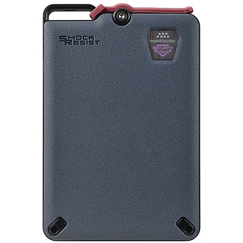 アイオーデータ　ＢｉｚＤＡＳ　５Ｇｂｐｓ（ＵＳＢ３．２　Ｇｅｎ１）　ハードウェア暗号化＆耐衝撃ポータブルＨＤＤ　１ＴＢ　グレー　ＨＤＰＤ－ＳＵＴＣ１　１台3