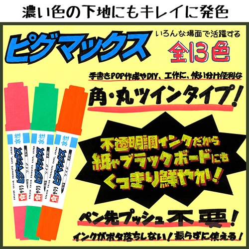 サクラクレパス　水性マーカー　ピグマックスツイン　８色（各色１本）　ＺＰＫ－Ｔ８　１セット（１０パック）2
