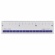 ライオン事務器　再生アクリル直線定規　１５ｃｍ　Ｎｏ．５ＭＲ　１セット（１０本）1