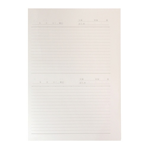 ライフ　業務ノート　Ｂ５タテ　１ページ２日分　６ｍｍ×１５行×２段　５０枚　Ｎ１１２　１セット（１０冊）2