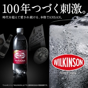 アサヒ飲料　ウィルキンソン　タンサン　５００ｍｌ　ペットボトル　１セット（４８本：２４本×２ケース）2