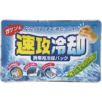紀陽除虫菊　携帯用冷却パック　速攻冷却　１セット（１０個）