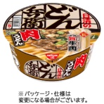 日清食品　日清のどん兵衛