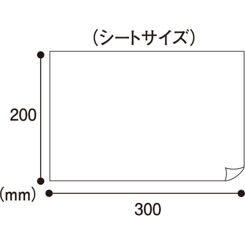 ペーパーテック　大人用からだ拭き　１セット（１０００枚：５０枚×２０パック）2