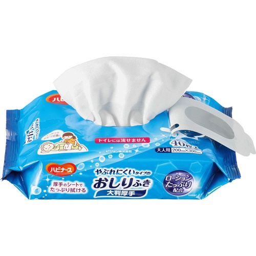 ピジョン　ハビナース　やぶれにくいタイプのおしりふき　大判厚手　１セット（９６０枚：４０枚×２４パック）2