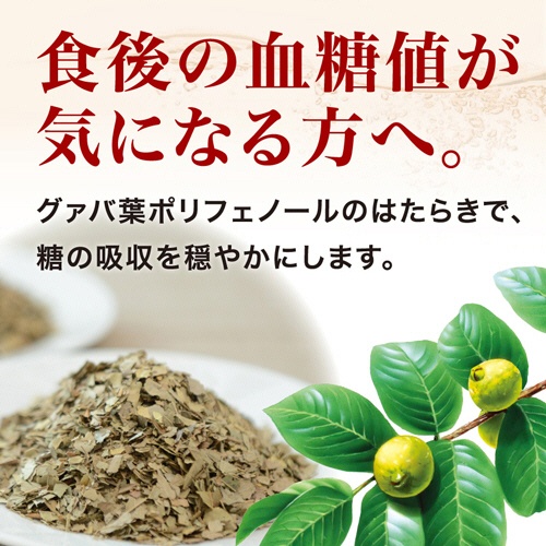 ヤクルト　蕃爽麗茶　５００ｍＬ　ペットボトル　１ケース（２４本）2