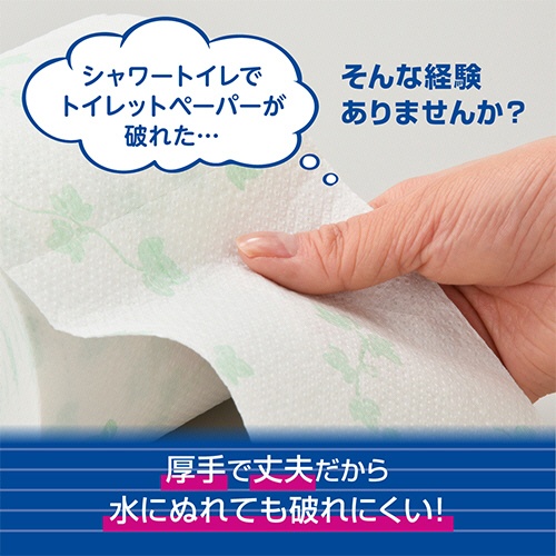 大王製紙　エリエール　シャワートイレのためにつくった吸水力が２倍のトイレットペーパー　ダブル　芯あり　２５ｍ　無香料　１セット（７２ロール：１２ロール×６パック）3