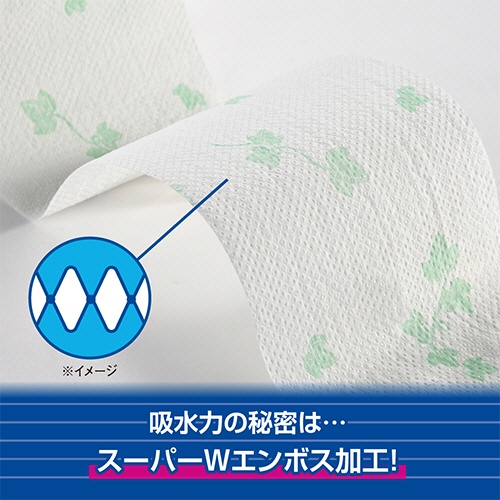 大王製紙　エリエール　シャワートイレのためにつくった吸水力が２倍のトイレットペーパー　ダブル　芯あり　２５ｍ　無香料　１セット（７２ロール：１２ロール×６パック）7