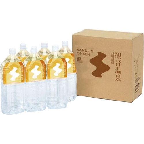 観音温泉　飲む温泉　観音温泉　２Ｌ　ペットボトル　１セット（１２本：６本×２ケース）2