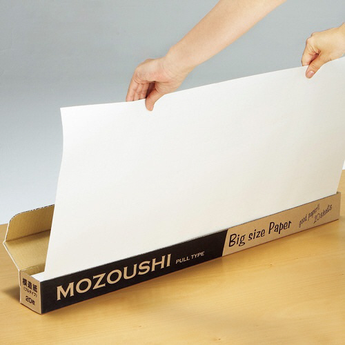 たのめーる】TANOSEE 模造紙(プルタイプ) 本体 765×1085mm 無地
