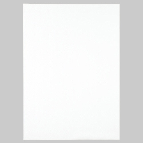 TANOSEE 模造紙(プルタイプ) 本体 765×1085mm 無地 ホワイト 1