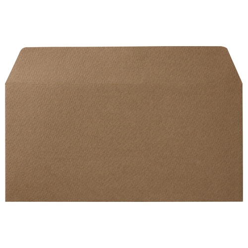 寿堂　カラー横型封筒　１１０×２２０ｍｍ　１２７．９ｇ／ｍ2　テープのり付　〒枠なし　カフェモカ　１０３５４　１パック（１０枚）1