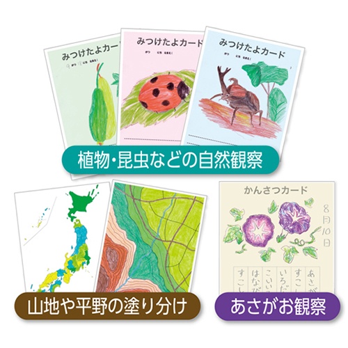 ぺんてる　小学校色えんぴつ　１２色＋３色（各色１本）　ＧＣＧ１－１２Ｐ３　１個4