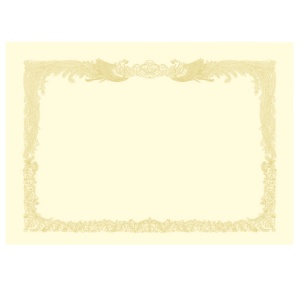 ササガワ　タカ印　ＯＡ賞状用紙　厚口　クリーム　Ａ３　タテ書用　１０－１２８７　１パック（１０枚）1