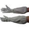 中部物産貿易　ホーケン　肘まで長～い革手袋　Ｍ　５５６９８　１双