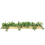 アートクリエイション 人工植物 光触媒 光の楽園 ウッドボックスSL 高さ180mm 61280074 1個