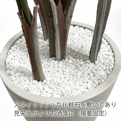 アーバン　フェイクグリーン　アレカヤシ　高さ１８００ｍｍ　鉢色：アイボリー　ＡＲＥ－１８０ＩＶ　１台4
