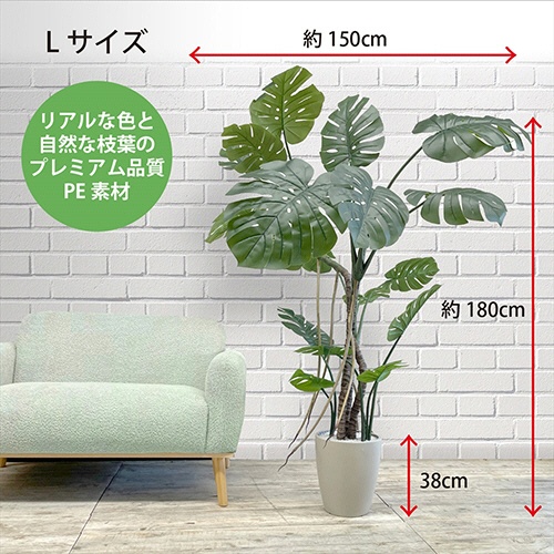 アーバン　フェイクグリーン　モンステラ　高さ１８００ｍｍ　鉢色：アイボリー　ＭＯＮ－１８０ＩＶ　１台3