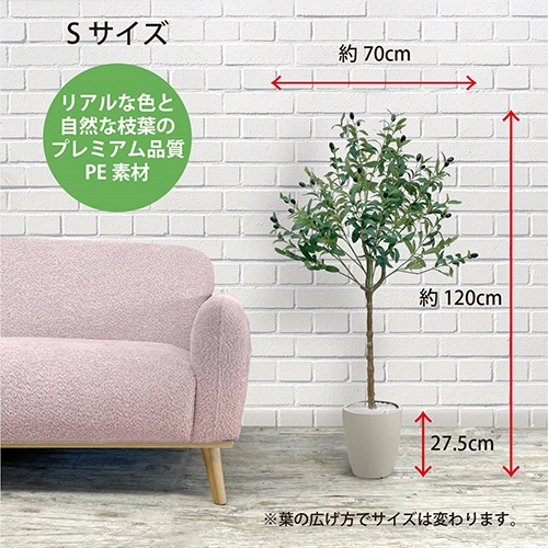 アーバン　フェイクグリーン　オリーブ　高さ１２００ｍｍ　鉢色：アイボリー　ＯＬＥ－１２０ＩＶ　１台3