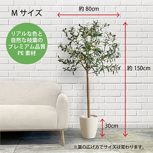 アーバン　フェイクグリーン　オリーブ　高さ１５００ｍｍ　鉢色：アイボリー　ＯＬＥ－１５０ＩＶ　１台3