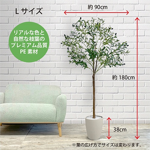 アーバン　フェイクグリーン　オリーブ　高さ１８００ｍｍ　鉢色：アイボリー　ＯＬＥ－１８０ＩＶ　１台3