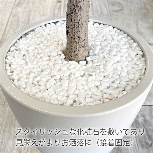 アーバン　フェイクグリーン　ユーカリ　高さ１２００ｍｍ　鉢色：アイボリー　ＥＵＰ－１２０ＩＶ　１台4