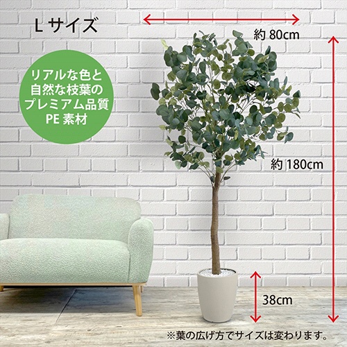アーバン　フェイクグリーン　ユーカリ　高さ１８００ｍｍ　鉢色：アイボリー　ＥＵＰ－１８０ＩＶ　１台3