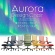 ネットフォース　Ａｕｒｏｒａ　Ｄｅｓｉｇｎ（オーロラデザイン）チェア　肘付　グレー　ＡＲＤ－１－ＴＷ－ＧＹ　１脚7